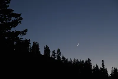 DSC_4269 (Large).JPG